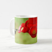 Schöner Hummingbird Fütternd Kaffeetasse (Vorderseite Links)