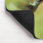 Schöner Hummingbird Fütternd Mousepad (Ecke)