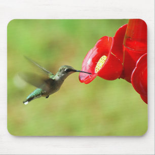 Schöner Hummingbird Fütternd Mousepad