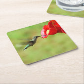Schöner Hummingbird Fütternd Square Paper Unterset Rechteckiger Pappuntersetzer (angewinkelt)