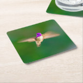 Schöner Hummingbird im Flight Untersetzer Set (angewinkelt)