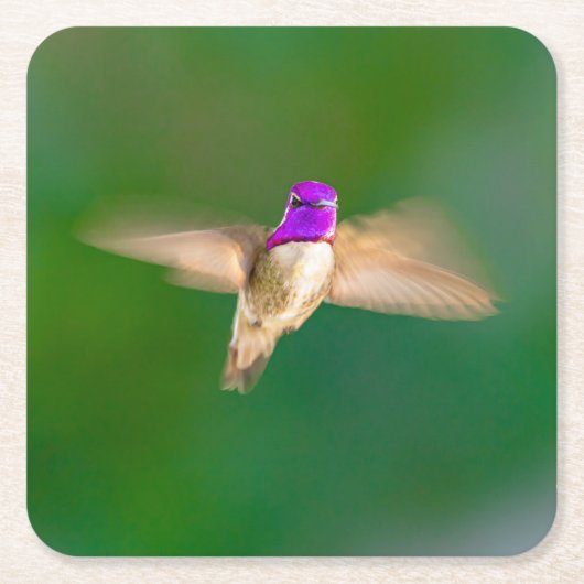 Schöner Hummingbird im Flight Untersetzer Set (Vorderseite)