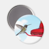Schöner Hummingbird und Feeder Magnet (Vorderseite/Rückseite)