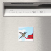Schöner Hummingbird und Zubringerplatz Magnet (In Situ (Geschirrspüler))