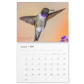 Schöner Hummingbirds Foto Kalender (Jan 2027)
