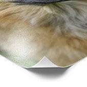 Schöner Hund Fotodruck (Ecke)