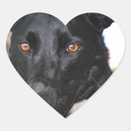 Schöner Hund mit Haselaugen Herz-Aufkleber