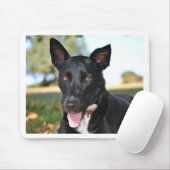 Schöner Hund mit Haselaugen Mousepad (Mit Mouse)