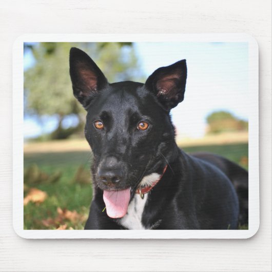 Schöner Hund mit Haselaugen Mousepad (Vorne)