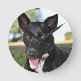 Schöner Hund mit Haselaugen Runde Wanduhr