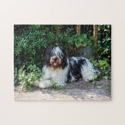schöner Hund Puzzle (Horizontal)
