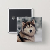 Schöner Husky im Freien Button (Vorne & Hinten)