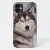 Schöner Husky im Freien Case-Mate iPhone Hülle (Rückseite)