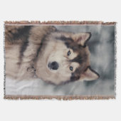 Schöner Husky im Freien Decke (Vorderseite)