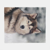 Schöner Husky im Freien Fleecedecke (Vorderseite (Horizontal))