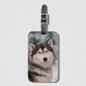 Schöner Husky im Freien Gepäckanhänger (Vorderseite Vertikal)