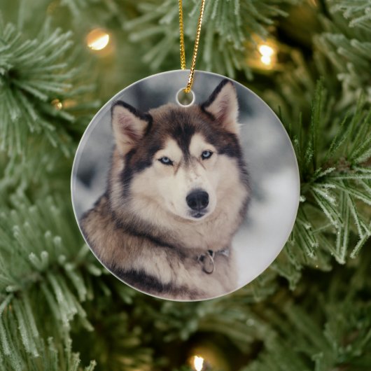 Schöner Husky im Freien Keramik Ornament (Baum)