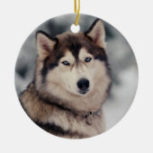 Schöner Husky im Freien Keramik Ornament (Vorne)