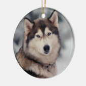 Schöner Husky im Freien Keramik Ornament (Links)