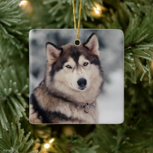 Schöner Husky im Freien Keramikornament (Baum)