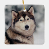 Schöner Husky im Freien Keramikornament (Vorderseite)