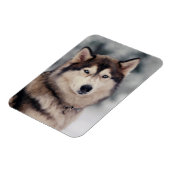 Schöner Husky im Freien Magnet (Linke Seite)