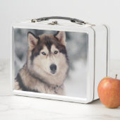 Schöner Husky im Freien Metall Brotdose (Beispiel)