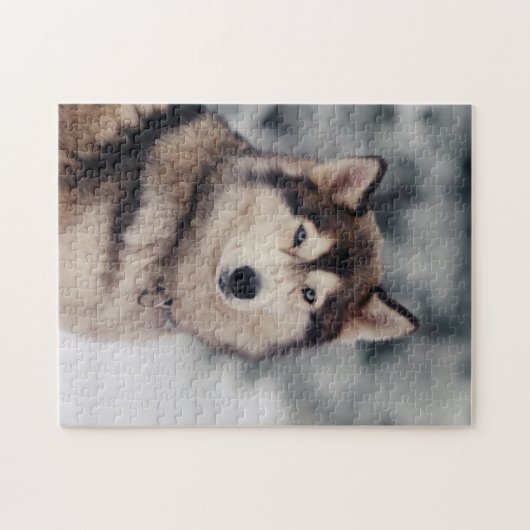 Schöner Husky im Freien Puzzle (Horizontal)