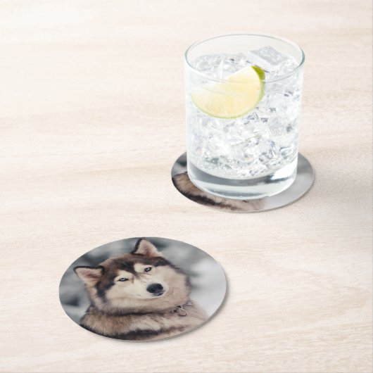 Schöner Husky im Freien Runder Pappuntersetzer (Vor Ort)
