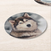 Schöner Husky im Freien Runder Pappuntersetzer (Angewinkelt)