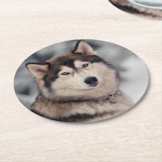 Schöner Husky im Freien Runder Pappuntersetzer (Angewinkelt)