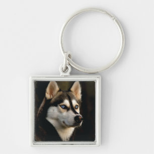 Schöner Husky-Wurfkissen Schlüsselanhänger