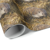 Schöner Igel auf einem Stubelfeld Geschenkpapier (Rolleneckpunkt)