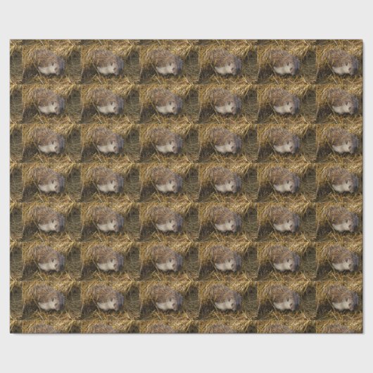 Schöner Igel auf einem Stubelfeld Geschenkpapier (Saum)