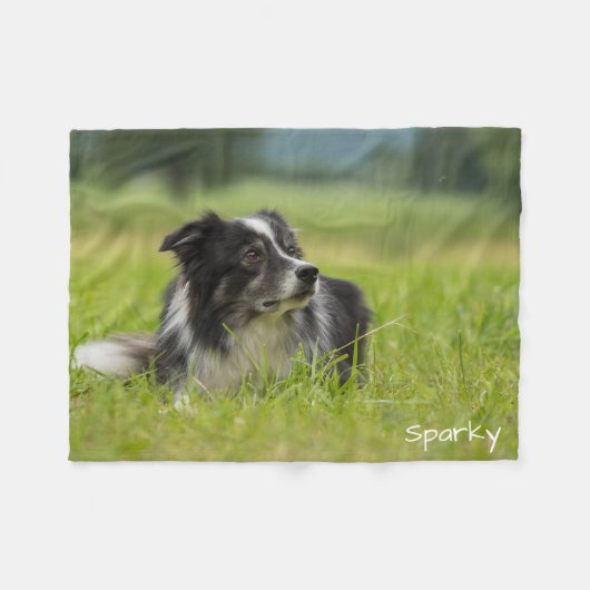 Schöner Individuelle Name Border Collie Fleecedecke (Vorderseite (Horizontal))