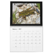 Schöner Insektenkalender 2018 Kalender (Feb 2027)