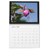 Schöner Insektenkalender 2018 Kalender (Jan 2027)
