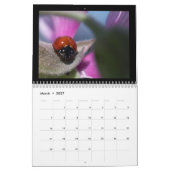 Schöner Insektenkalender 2018 Kalender (Mär 2027)