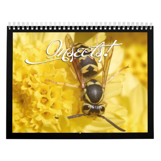 Schöner Insektenkalender 2018 Kalender (Titelbild)