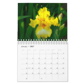 Schöner Iris-Fotokalender Kalender (Jan 2027)
