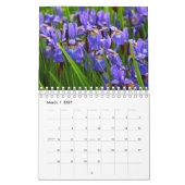 Schöner Iris-Fotokalender Kalender (Mär 2027)