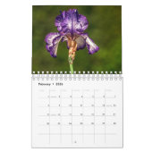 Schöner Iris-Fotokalender Kalender (Feb 2026)