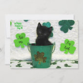 Schöner Jack - Katze / Kitten St. Patrick's Day (Vorderseite)