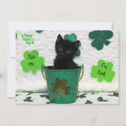 Schöner Jack - Katze / Kitten St. Patrick's Day (Vorderseite)