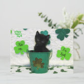 Schöner Jack - Katze / Kitten St. Patrick's Day (Stehend Vorderseite)