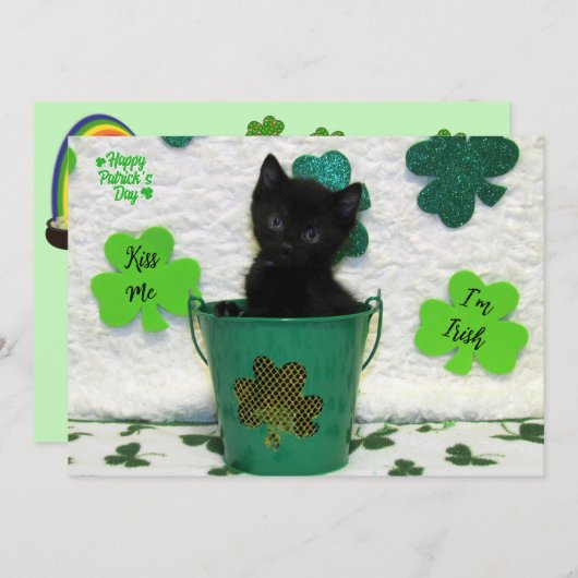 Schöner Jack - Katze / Kitten St. Patrick's Day (Vorne/Hinten)