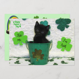 Schöner Jack - Katze / Kitten St. Patrick's Day