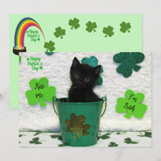 Schöner Jack - Katze / Kitten St. Patrick's Day