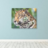 Schöner Jaguar im Wilden Leinwanddruck (Insitu (Holzboden))