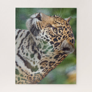 Schöner Jaguar im Wilden Puzzle